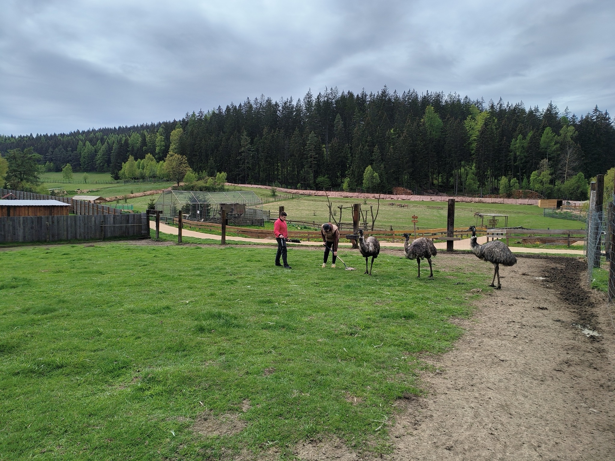 ZOO Łączna