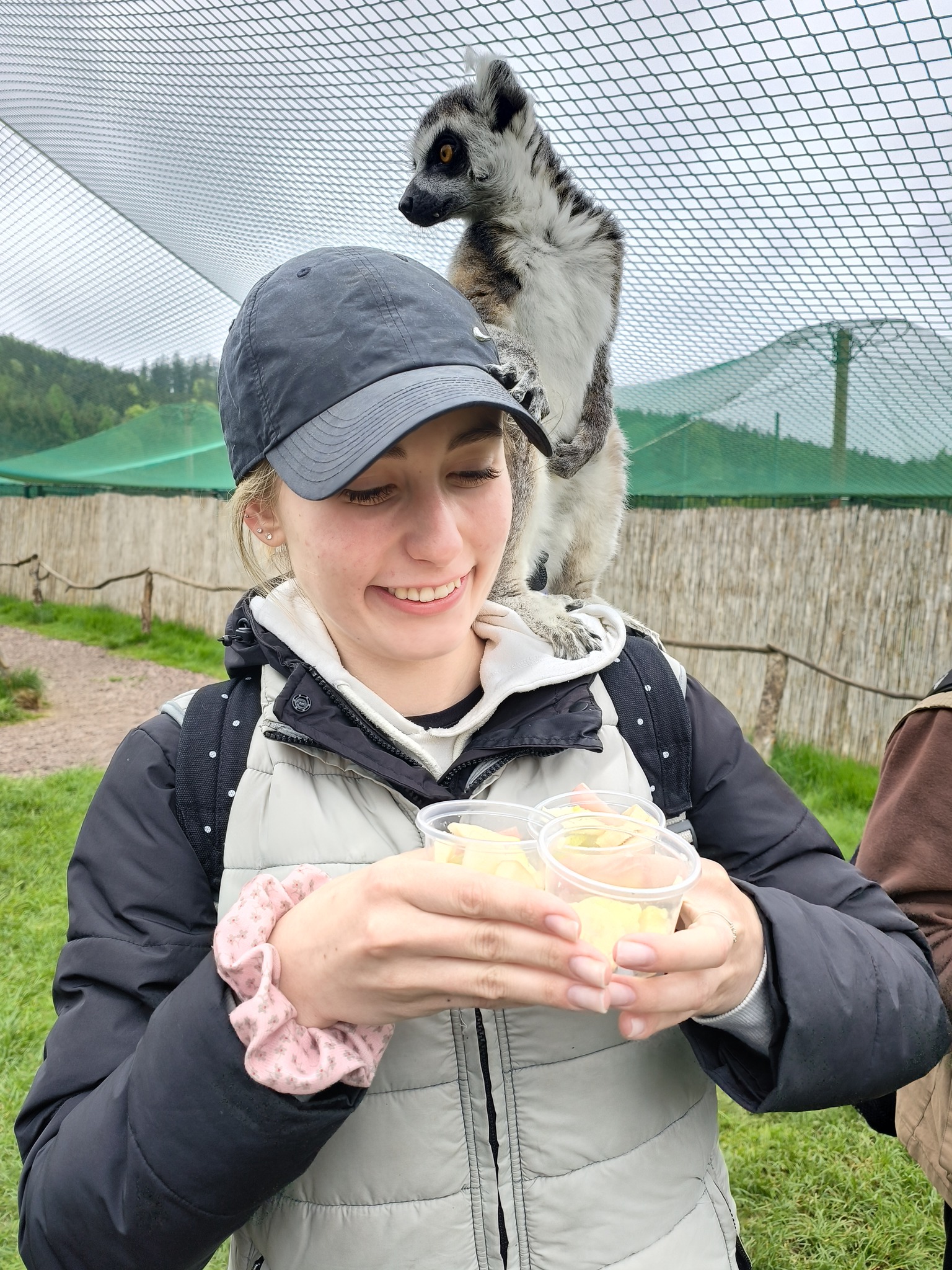 ZOO Łączna