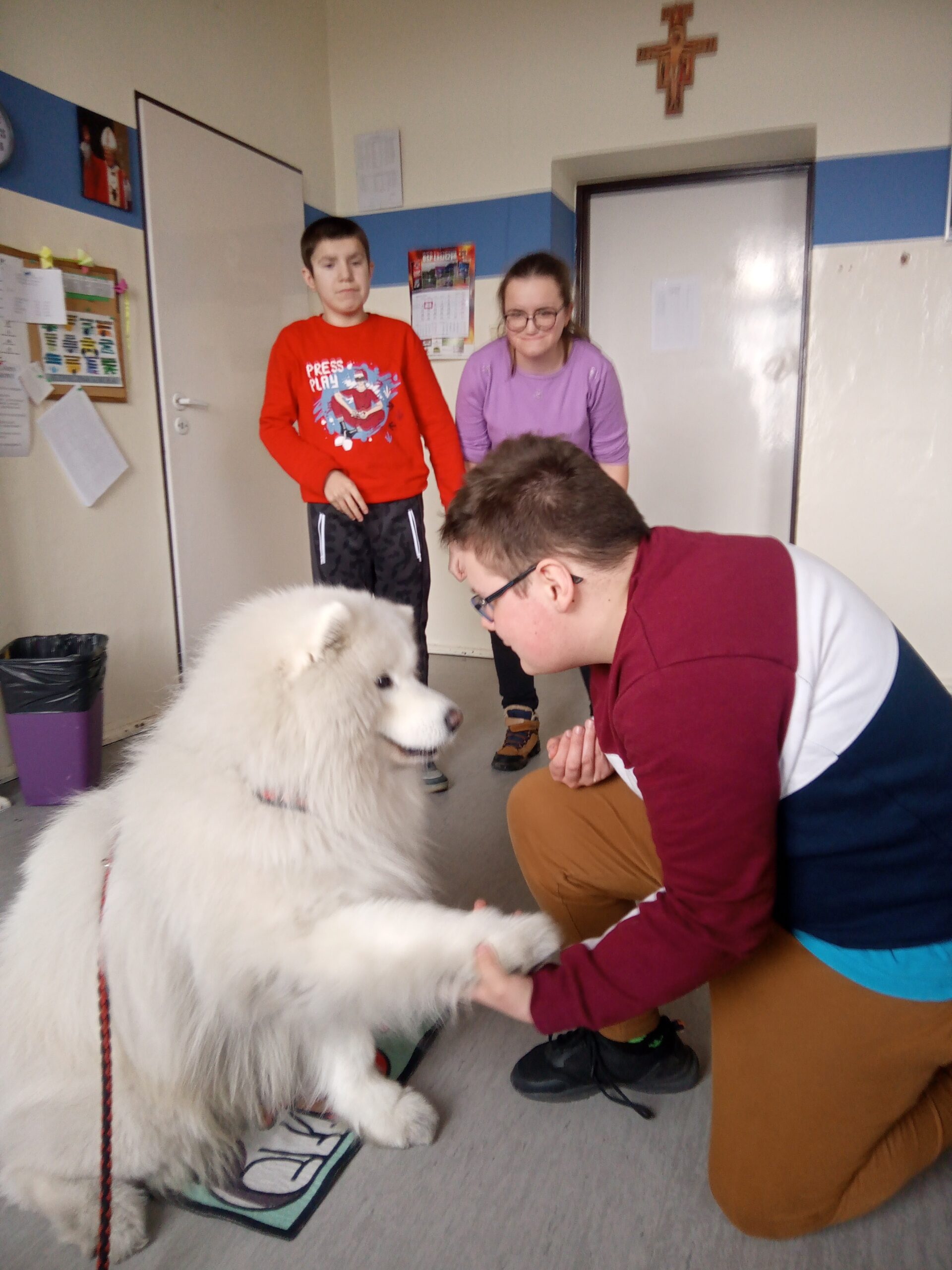 Dogoterapia w Zespole Szkół im. Jana Pawła II w Rawiczu