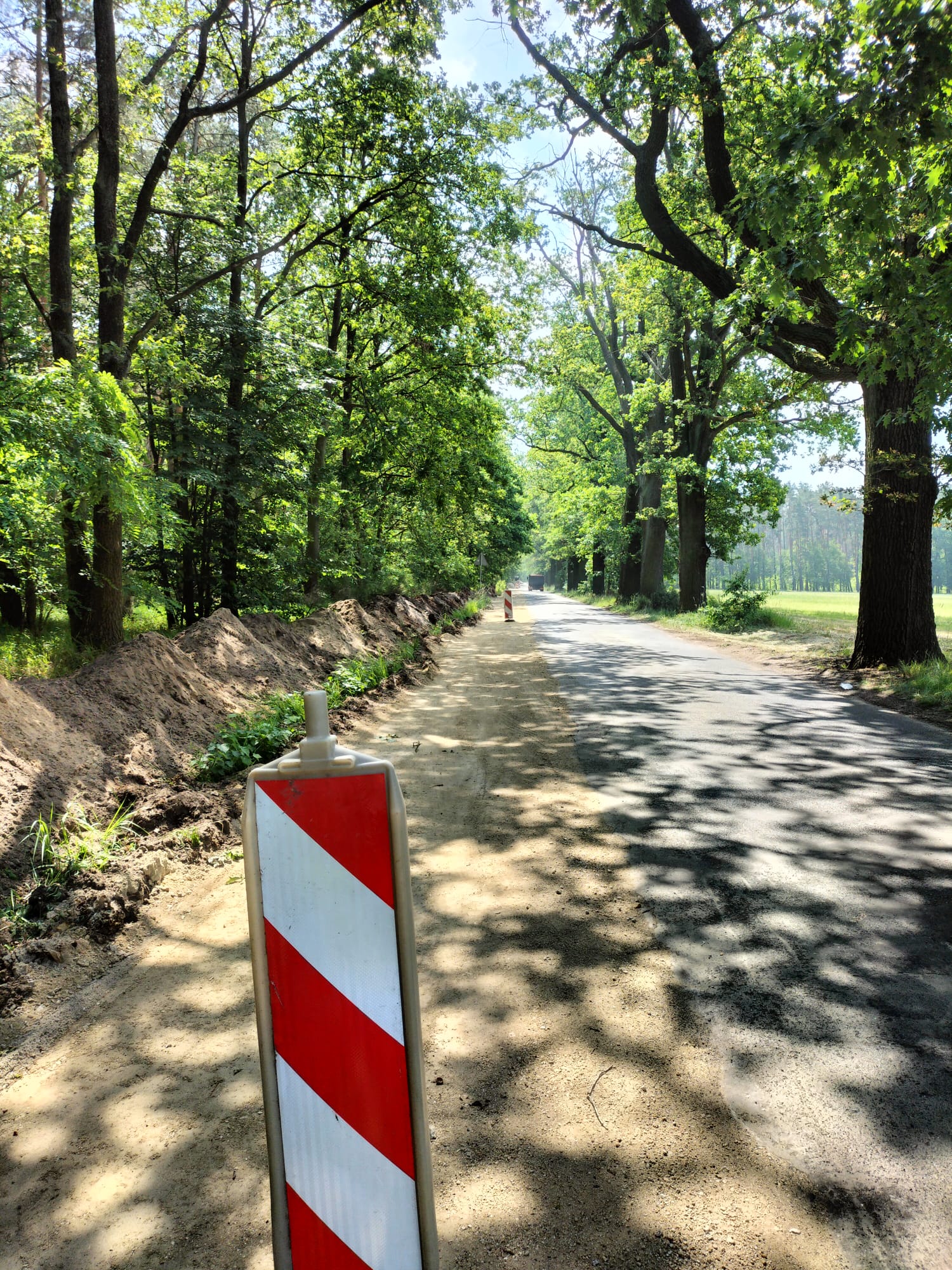 Sowy Białykał