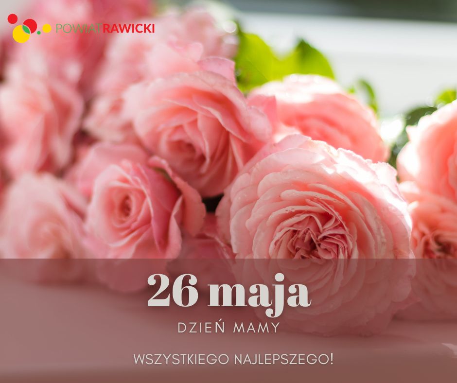 kwiaty położone na stole